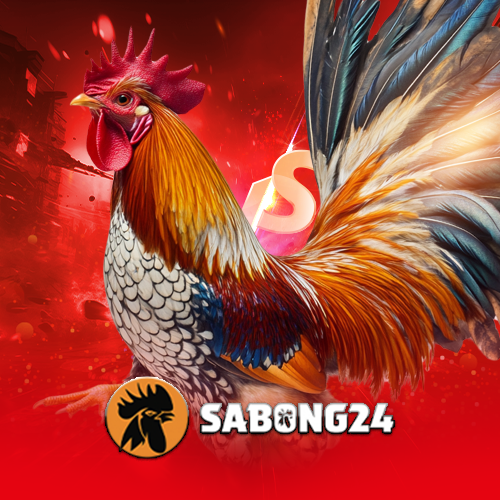 sb24cf