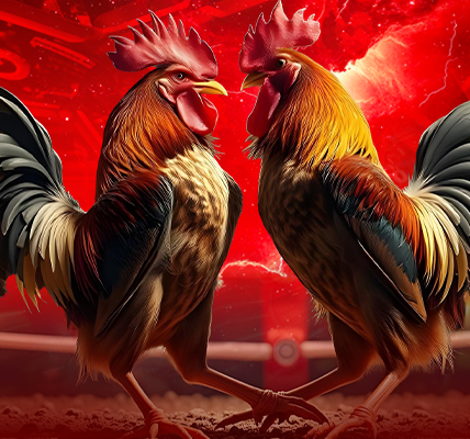 kfc369