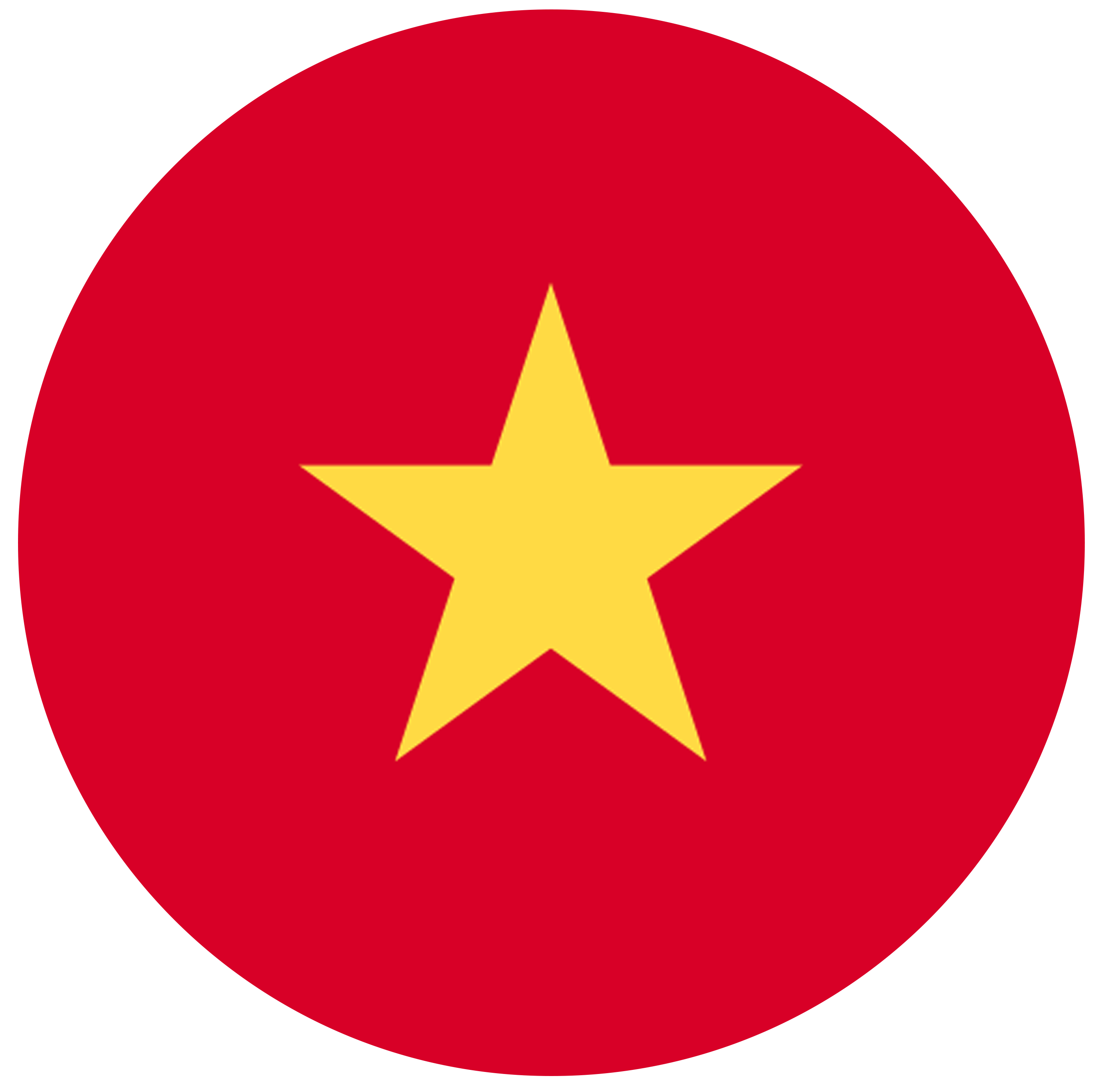 vn