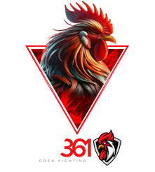 CF361 sabung ayam