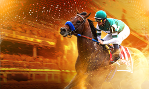 HORSE RACING