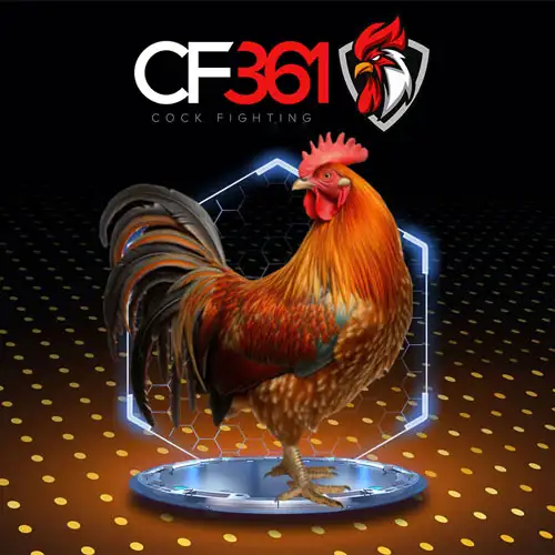 cf361