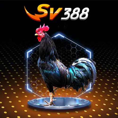 sv388