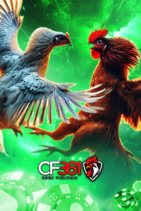 cf361
