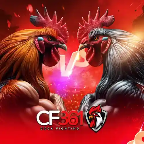 cf361
