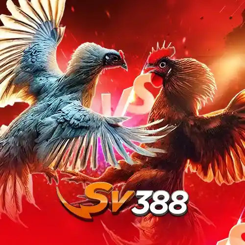 sv388