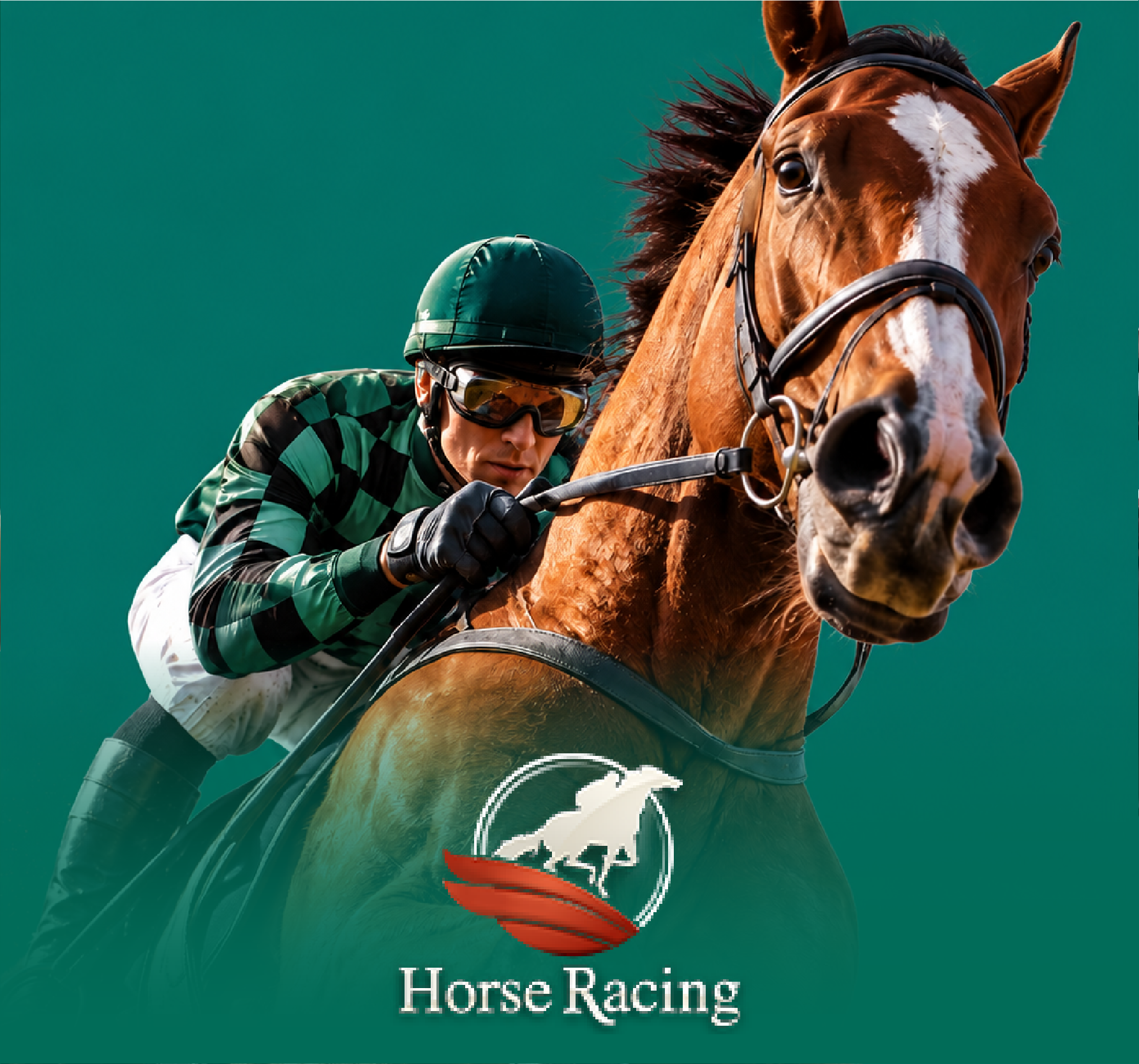 horse